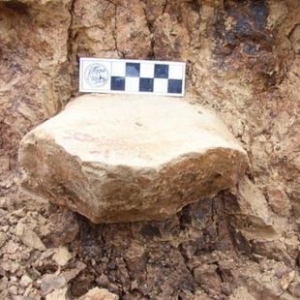 科学家在中国发现212万年前石器 成为人类在非洲以外存在最早证据 ...